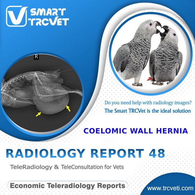 Smart-TRCVET Instagram Cover. Follow us on social media for the latest, fascinating, and informative content (posts and reels).